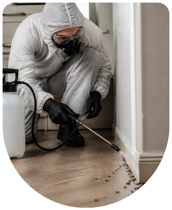 Профессиональная обработка дома от муравьев в Карпинске